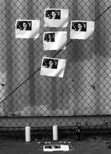 新闻诡异爆料最新视频 第1张 新闻诡异爆料最新视频 第1张